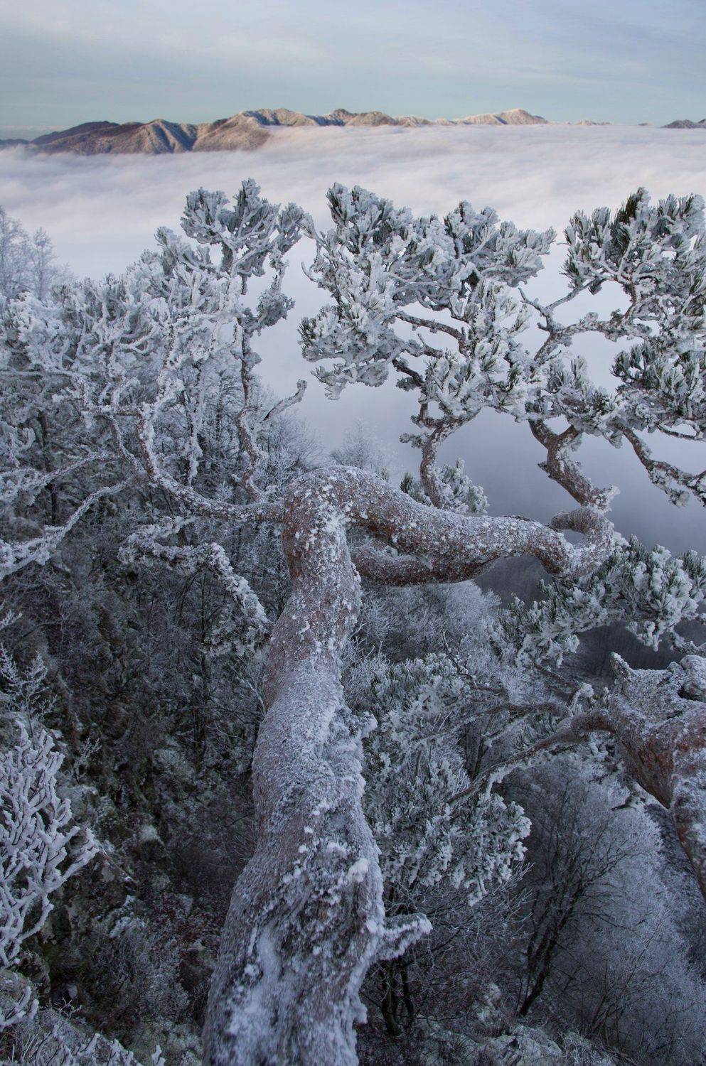 , Ловиков Михаил
