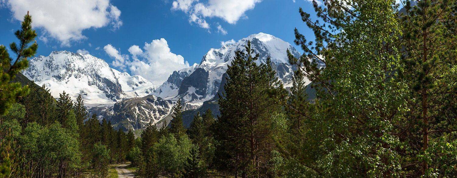 , Заур Вороков