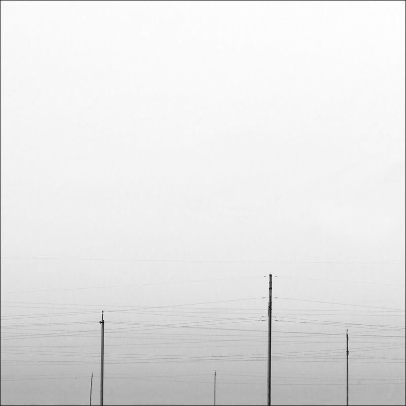 #11105. Electric garden фото превью