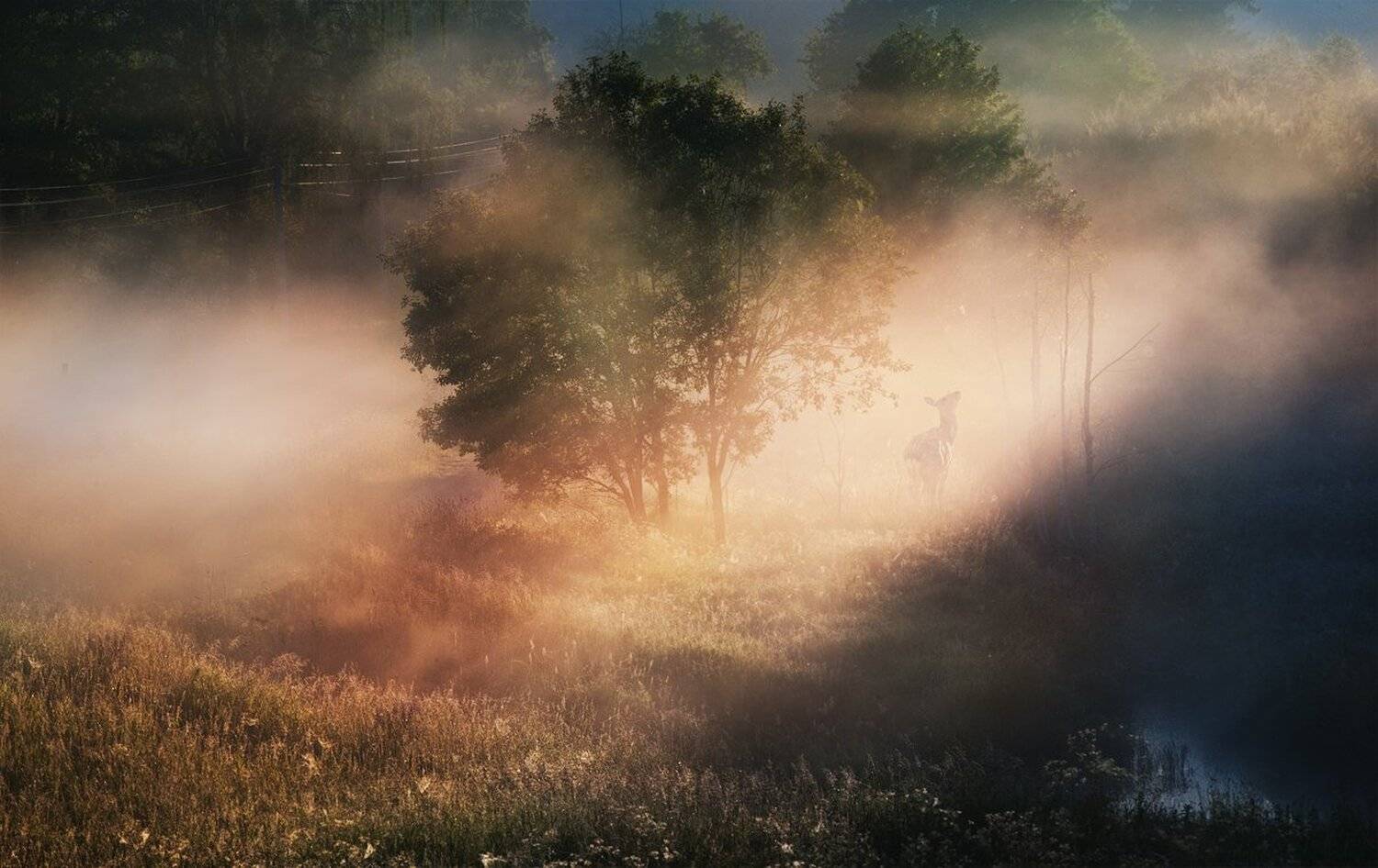 , Михалюк Сергей.