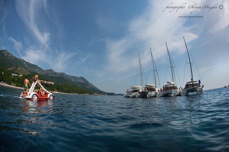 Море регата, Черногория катамаран Черногория. Регата фото превью