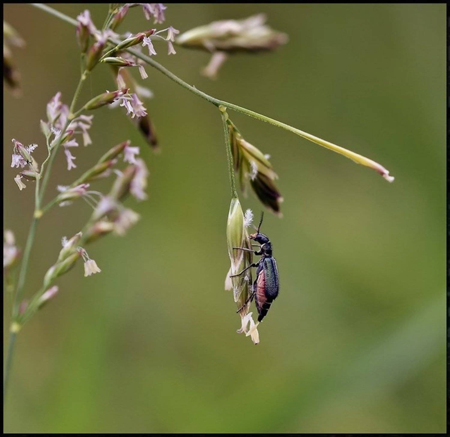 , Андрей Осокин