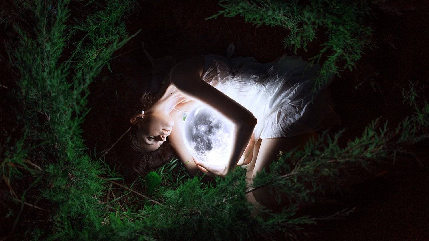 , Максим Густарев