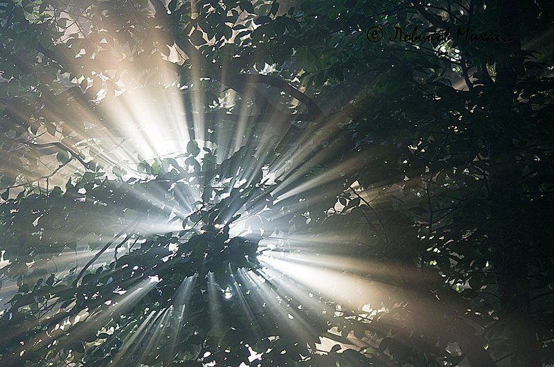 пейзаж с лучами фото превью