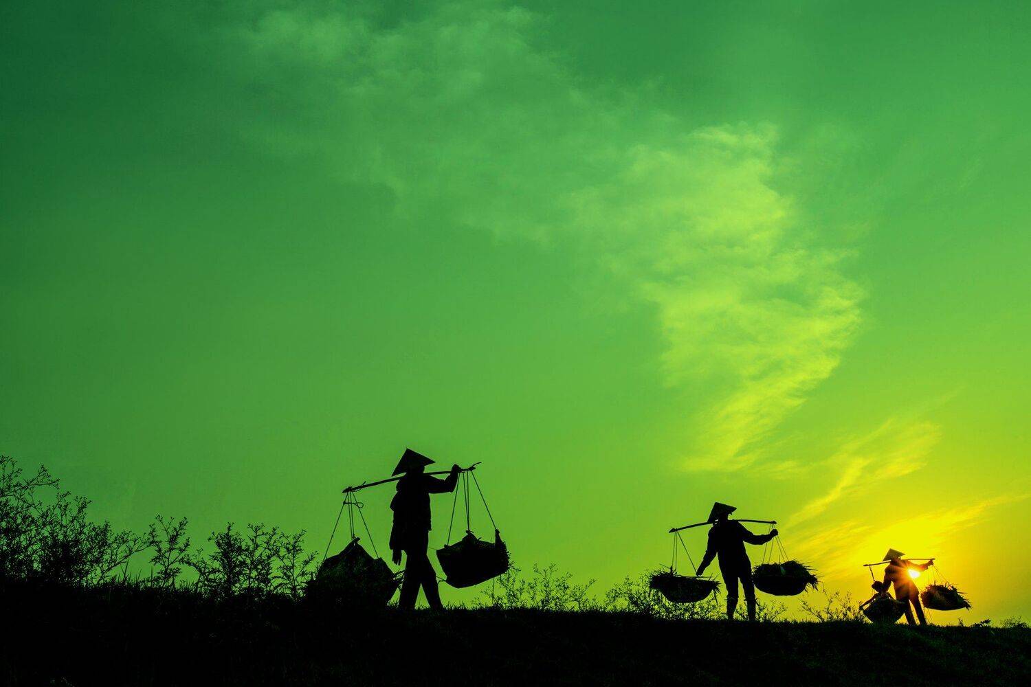 , Trần Tiến Trung