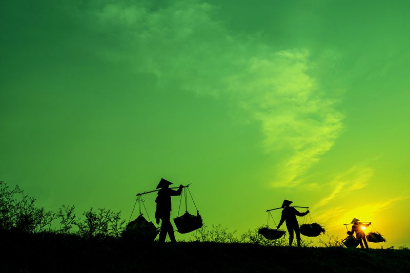 go home фото превью