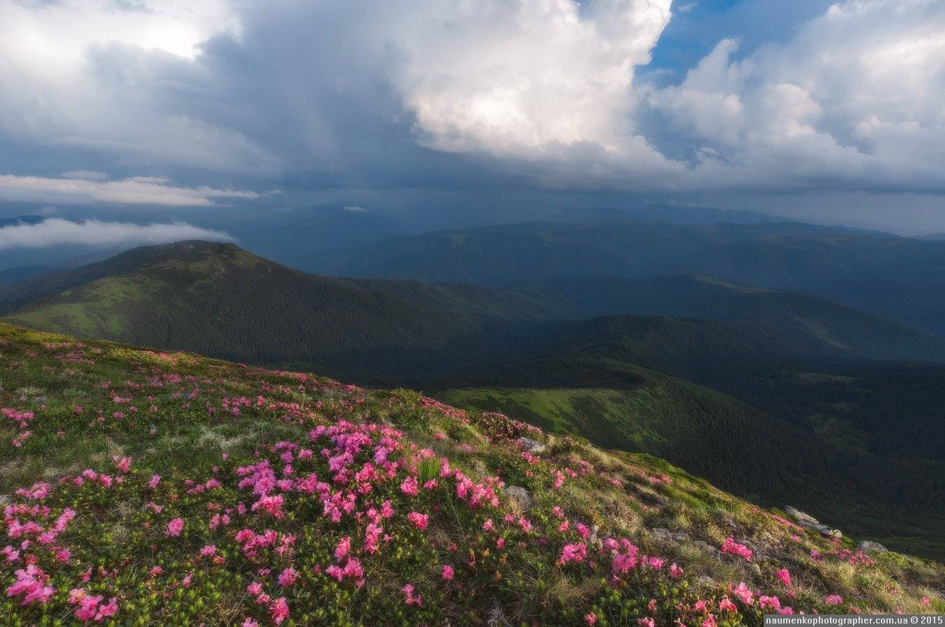 A7r, Sony, Горы, Карпаты, Облака, Пейзаж, Поп иван, Рододендроны, Тучи, Черногорский, Александр Науменко