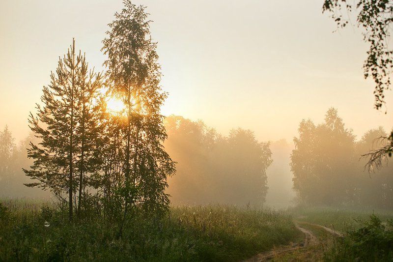 В лучах первого солнца фото превью