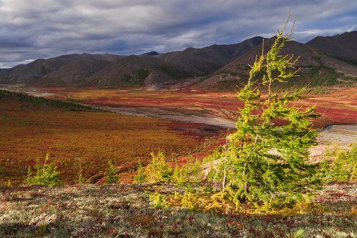 На осеннем склоне