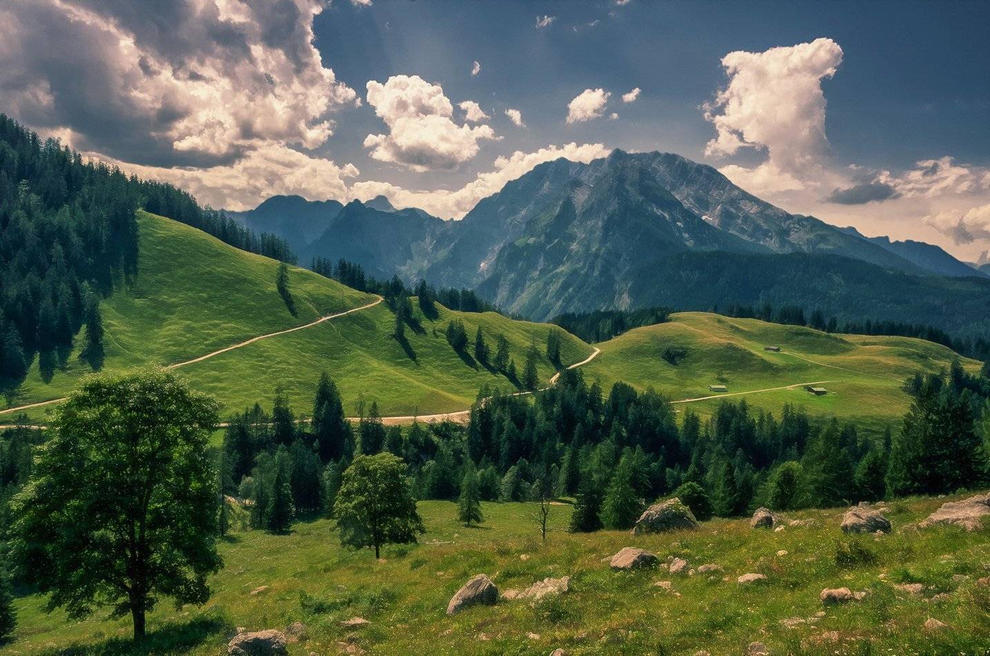 , Игорь Мелекесцев