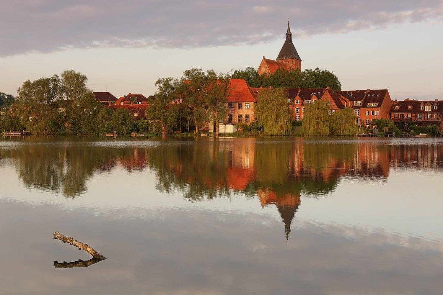 , Игорь Дубровский