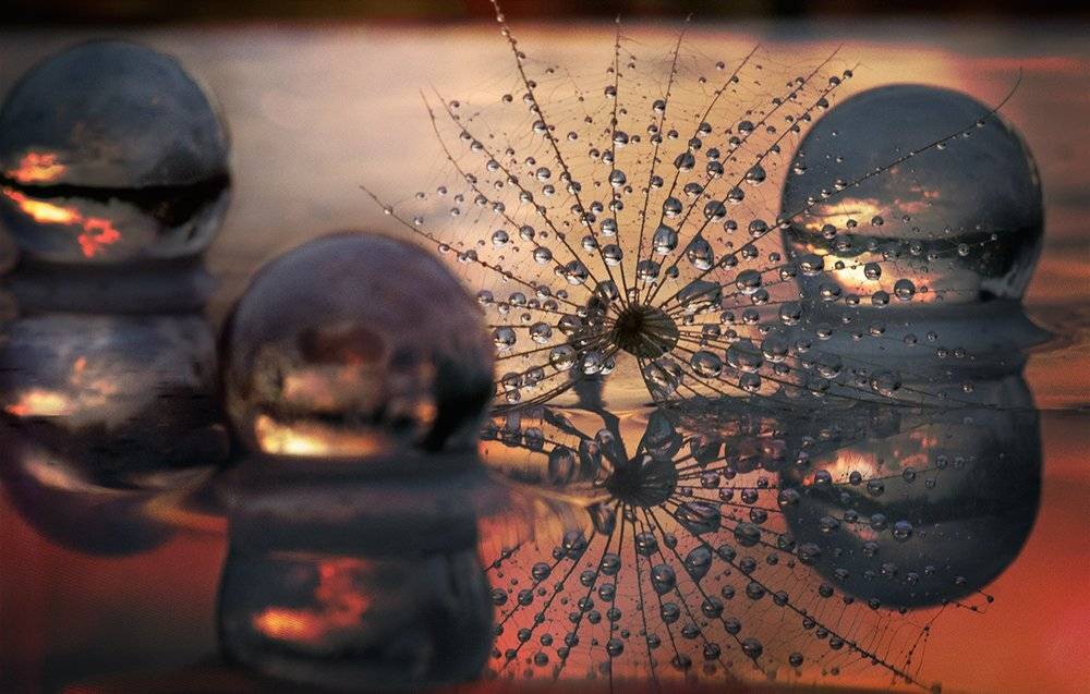 , Таня  Маркова