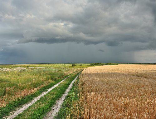 Дорога к дождю