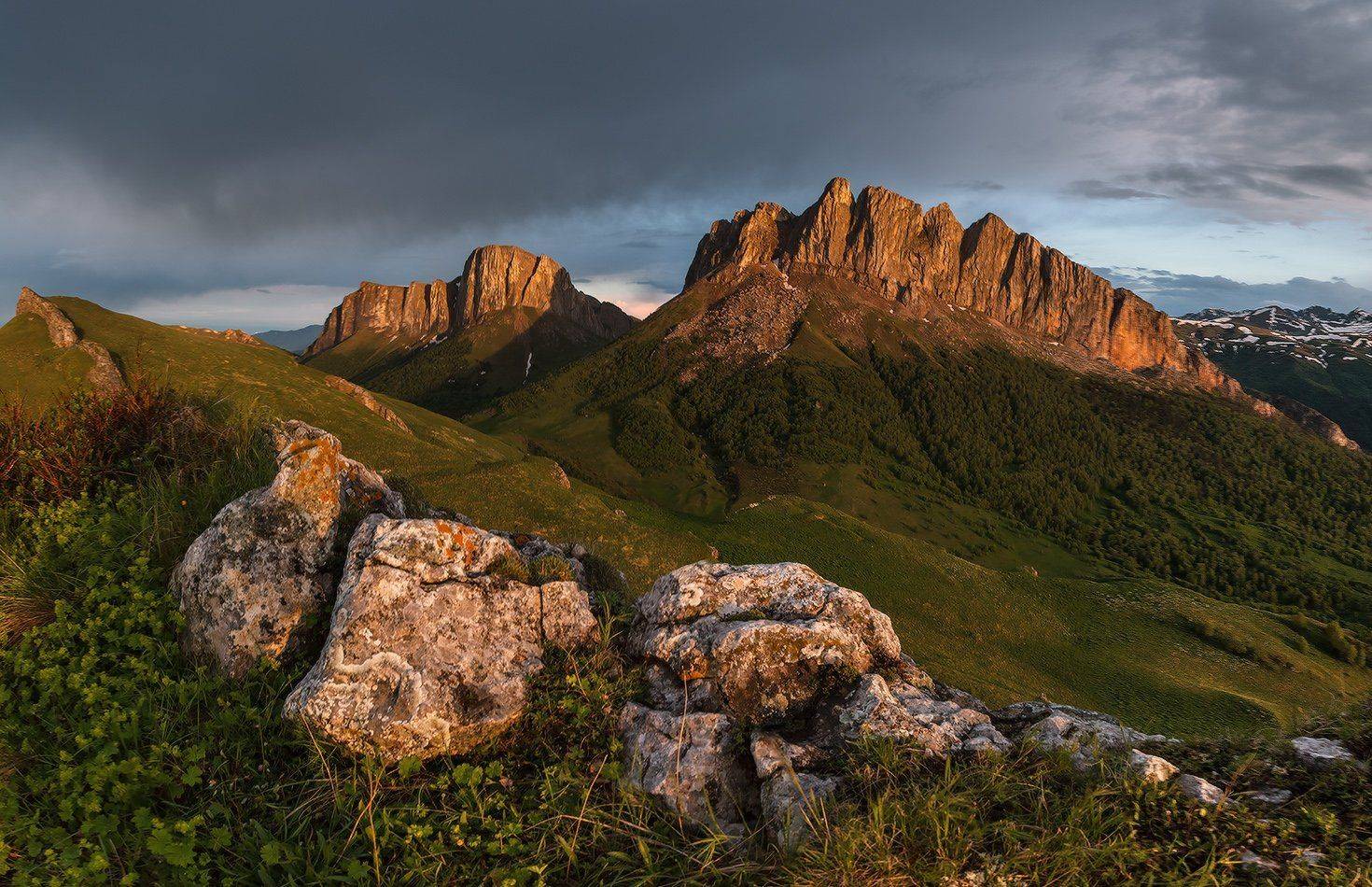 , Николай Мысливцев