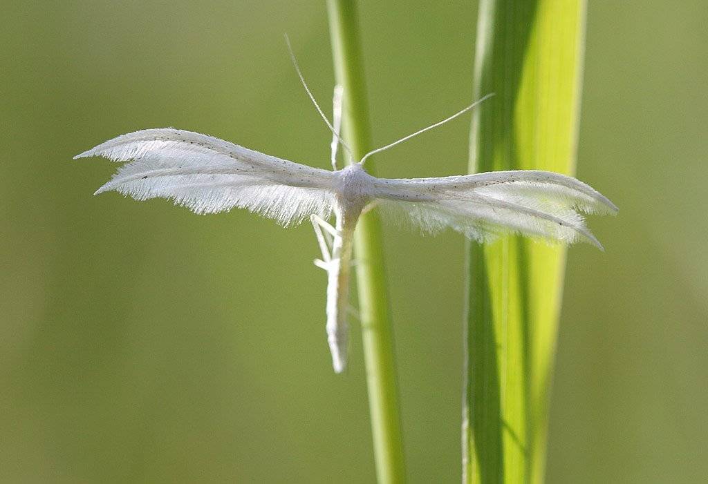 , Сергей Таланов