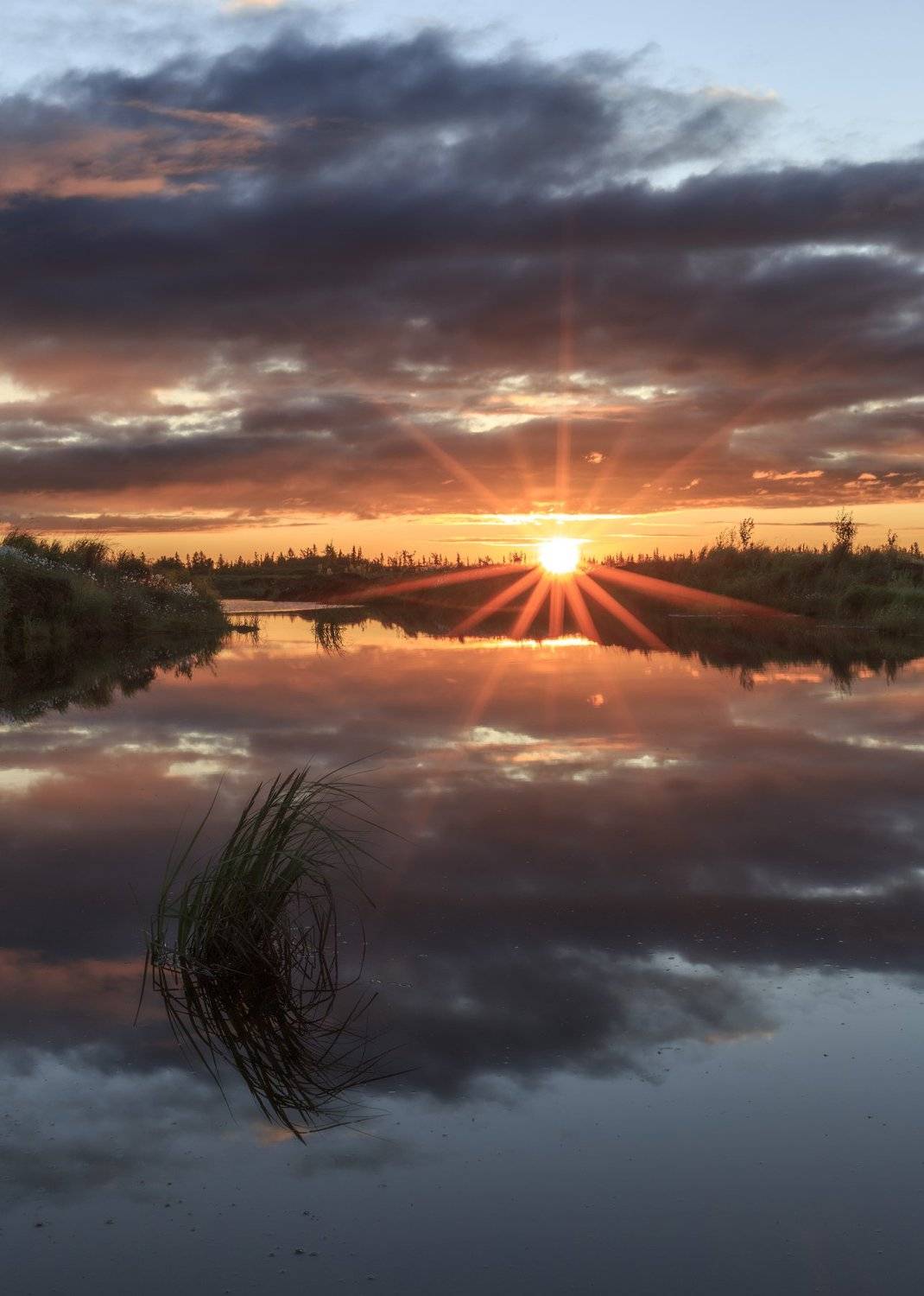новыйуренгой,  уренгой, ямал, янао, yamal, тундра, лесотундра, рассвет, камиль, камиль нуреев, россия, пейзаж, Камиль Нуреев