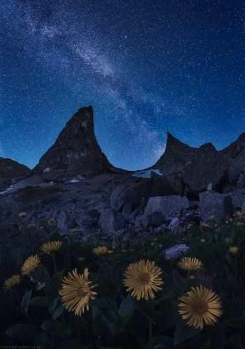 Ночь под Параболой