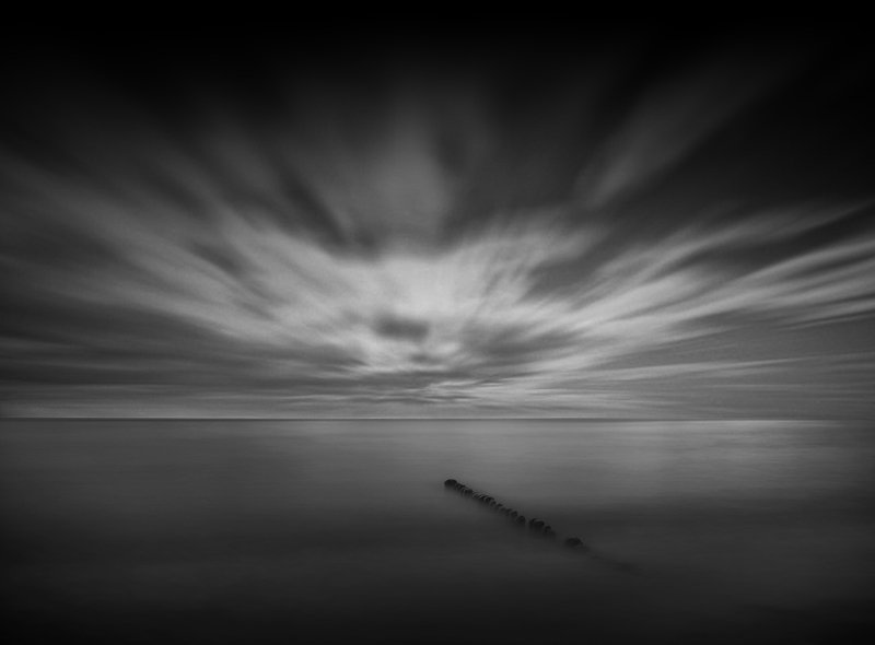 snake фото превью