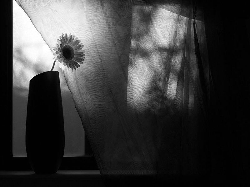 Философия света и тени в натюрмортах фото превью