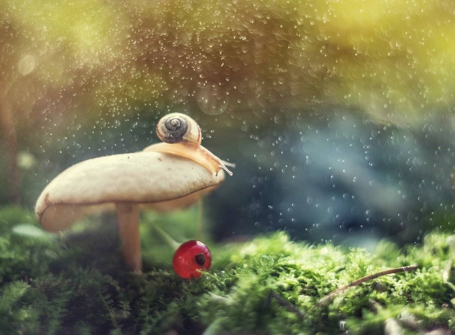 , Екатерина Науменко