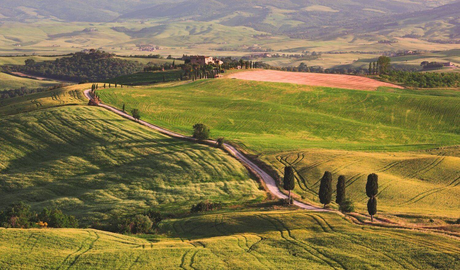 , Андрей Ведерников