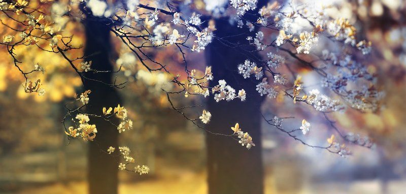 Весенняя фото превью