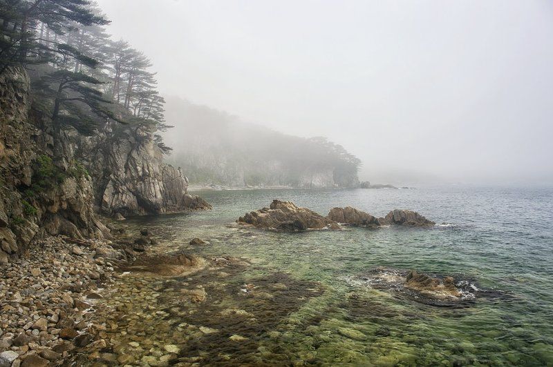 в бухте Теляковского фото превью