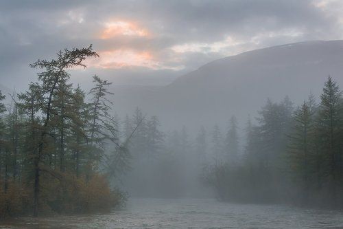 Во мраке гор
