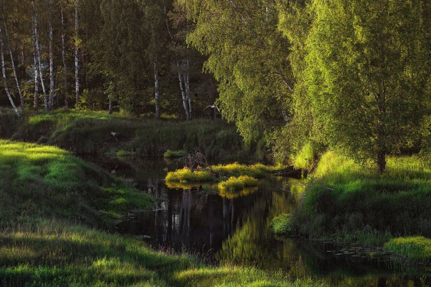 , Андрей Ершов