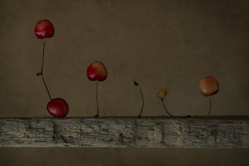 ** фото превью