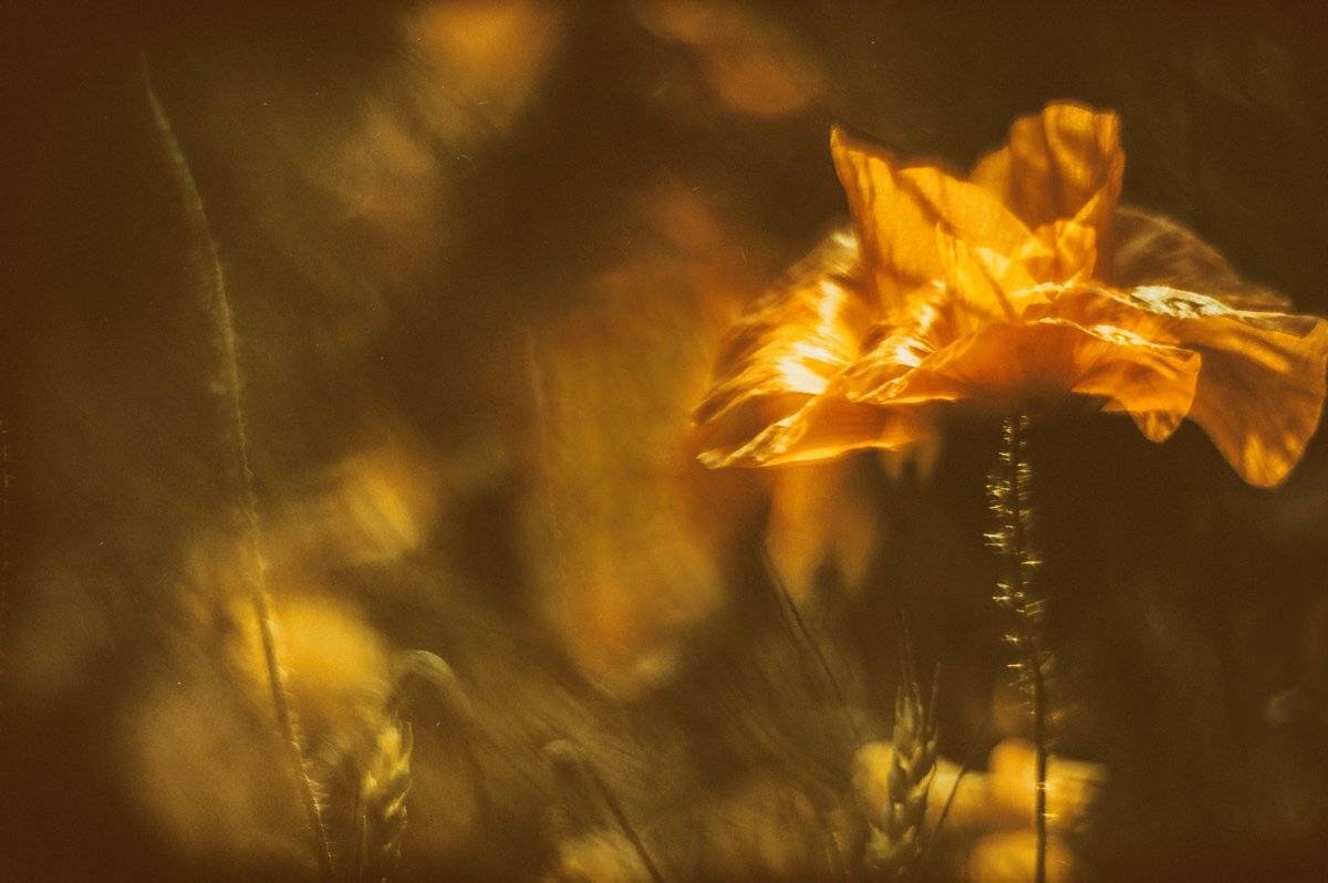 , Татьяна Аверина