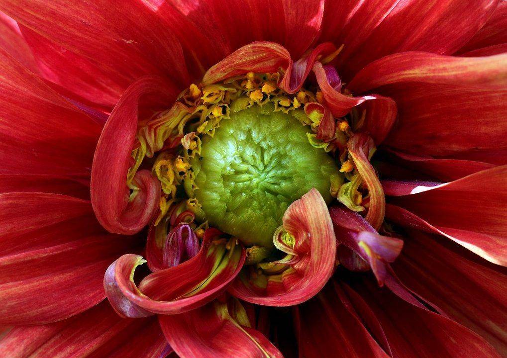 , Сергей Фудиненко