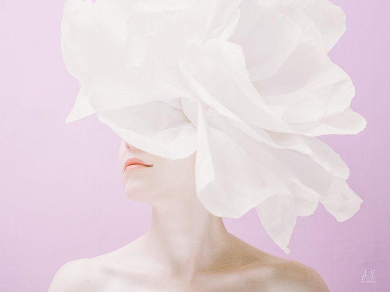 Flower фото превью