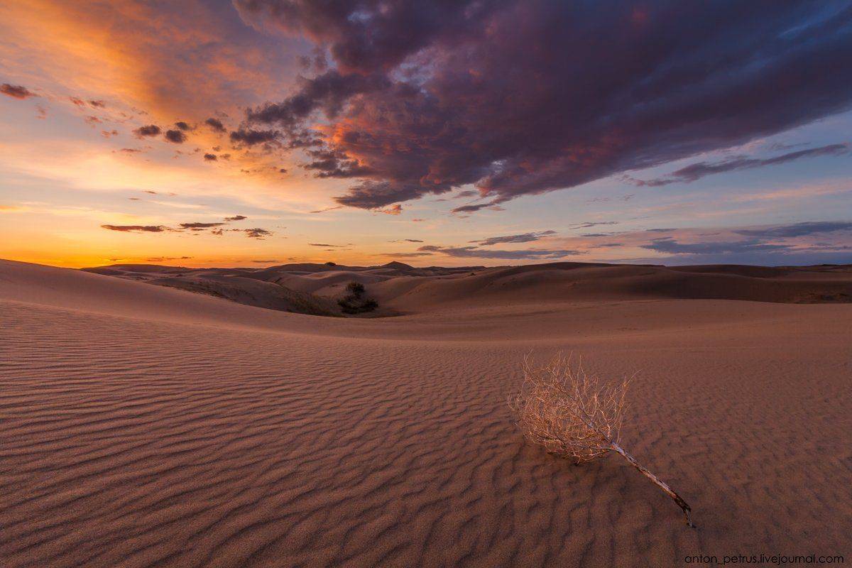 , Антон Петрусь