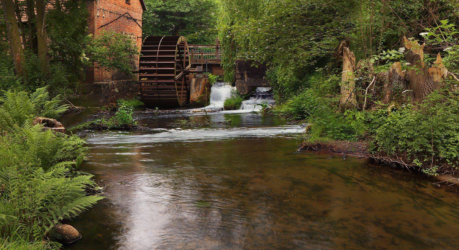 , Игорь Дубровский