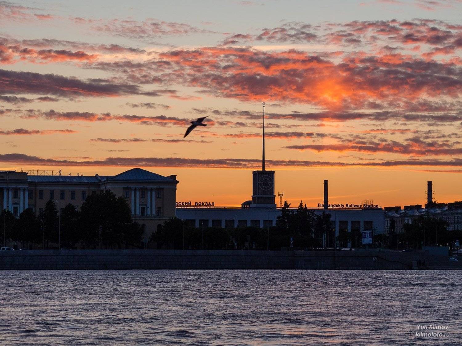 , Лунный Ежик