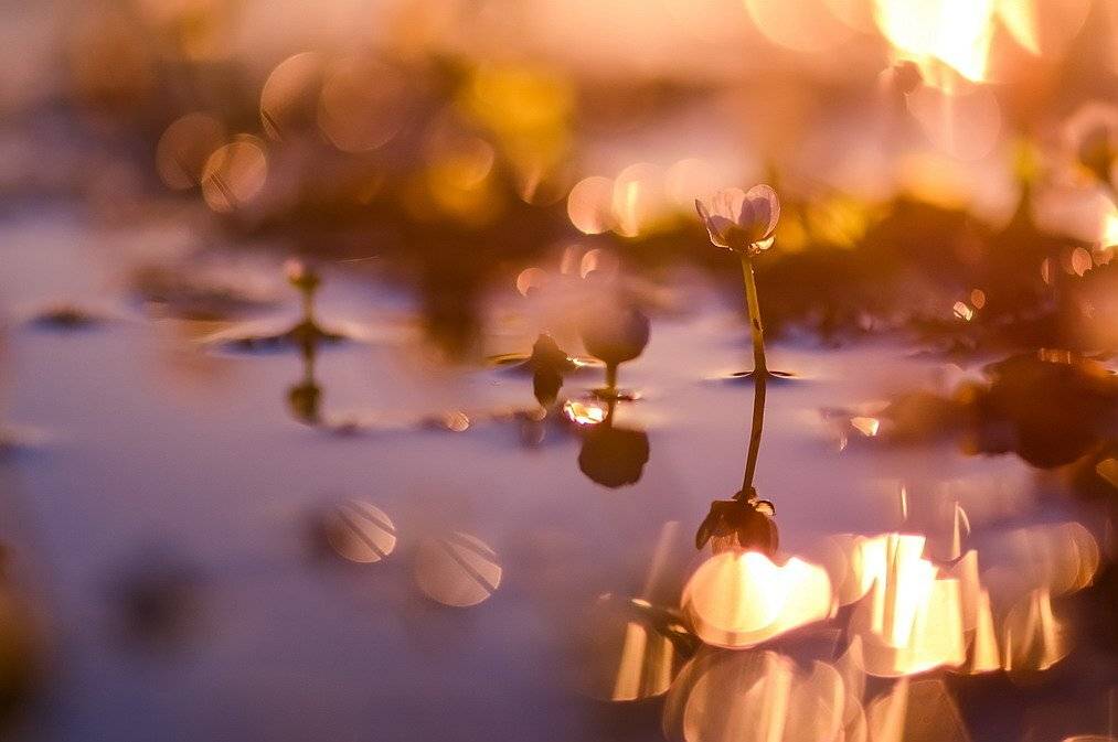 , Вячеслав Мищенко