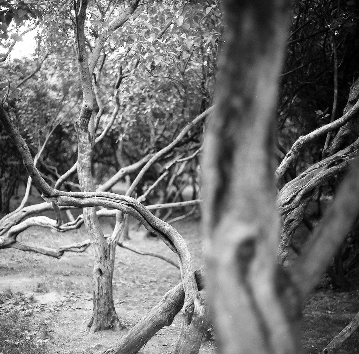 , Ефремов Андрей  МИ₽