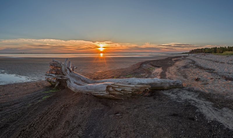 белое море, берег, закат, ягры *** фото превью