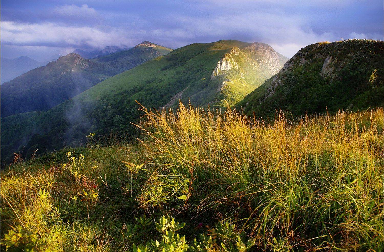 , Ловиков Михаил