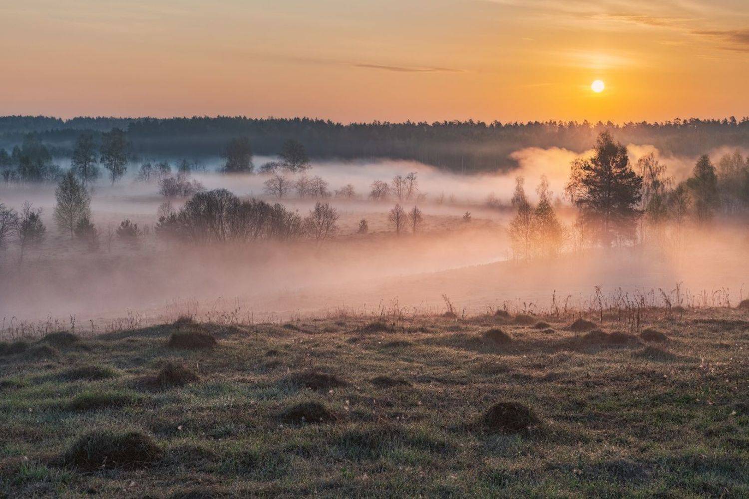 , Евгений Ерохин