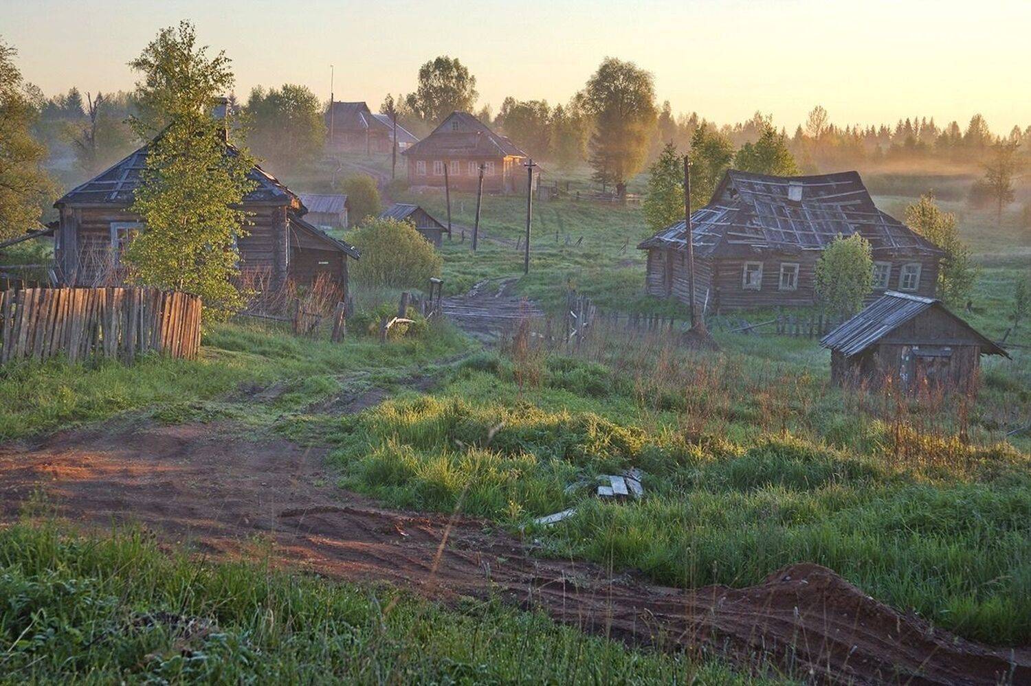 , Петр Косых