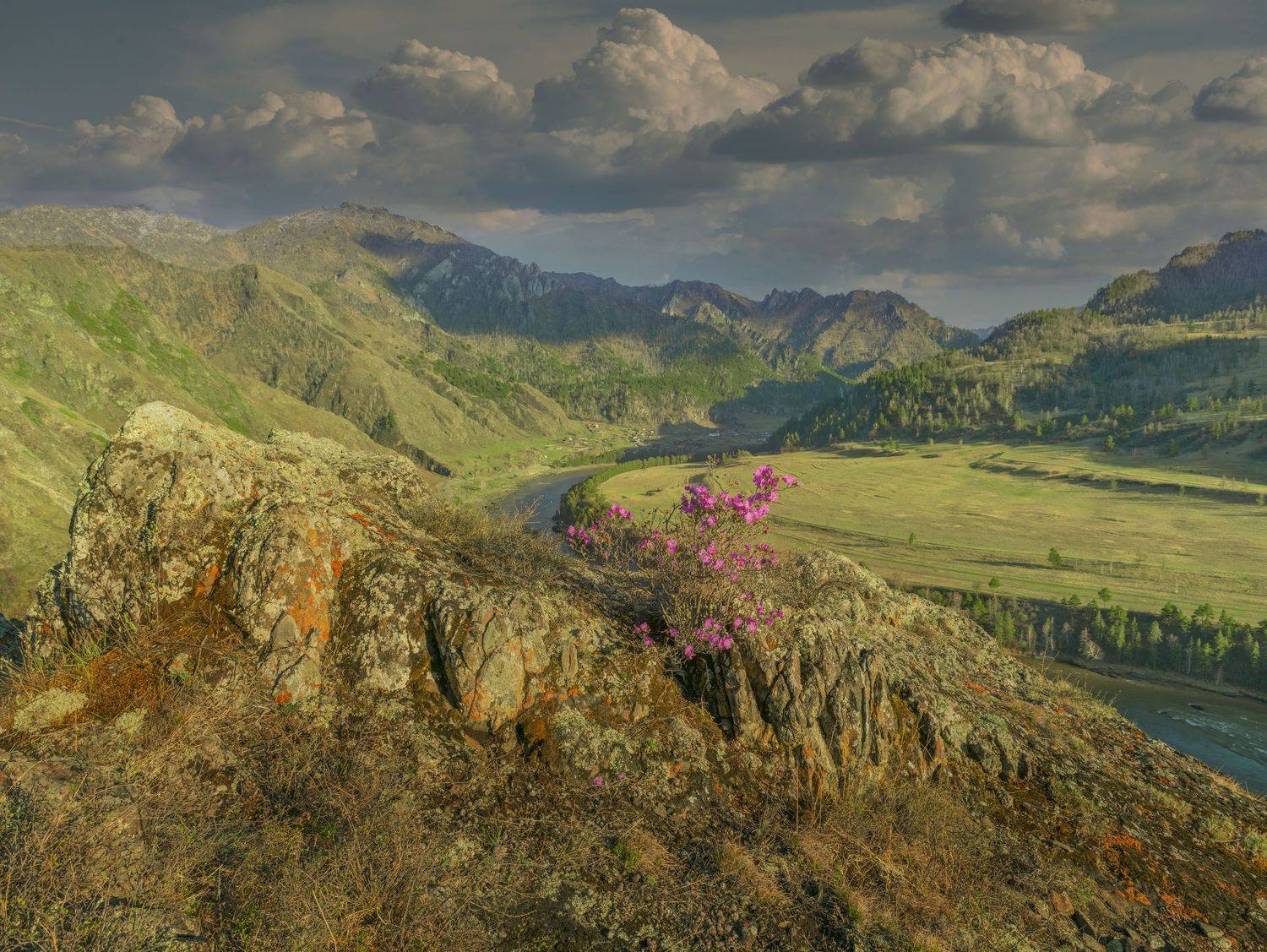 Фототуры с Владимиром Рябковым, #topnature #russpasibo #magic_shots #lovelyRussia #sunset_vision #exclusive_sky  #exclusive_shots #loves_russia2 #photoarena_nature #nature_sultans #nature_perfection #rsa_sky #rsa_sunset #photorussia #rsa_naturepics #sunse, Владимир Рябков