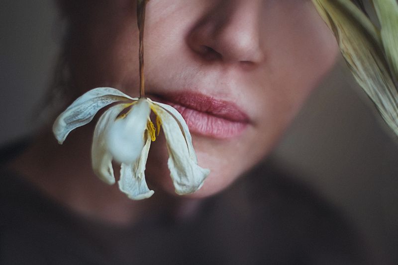 Тюльпаны фото превью