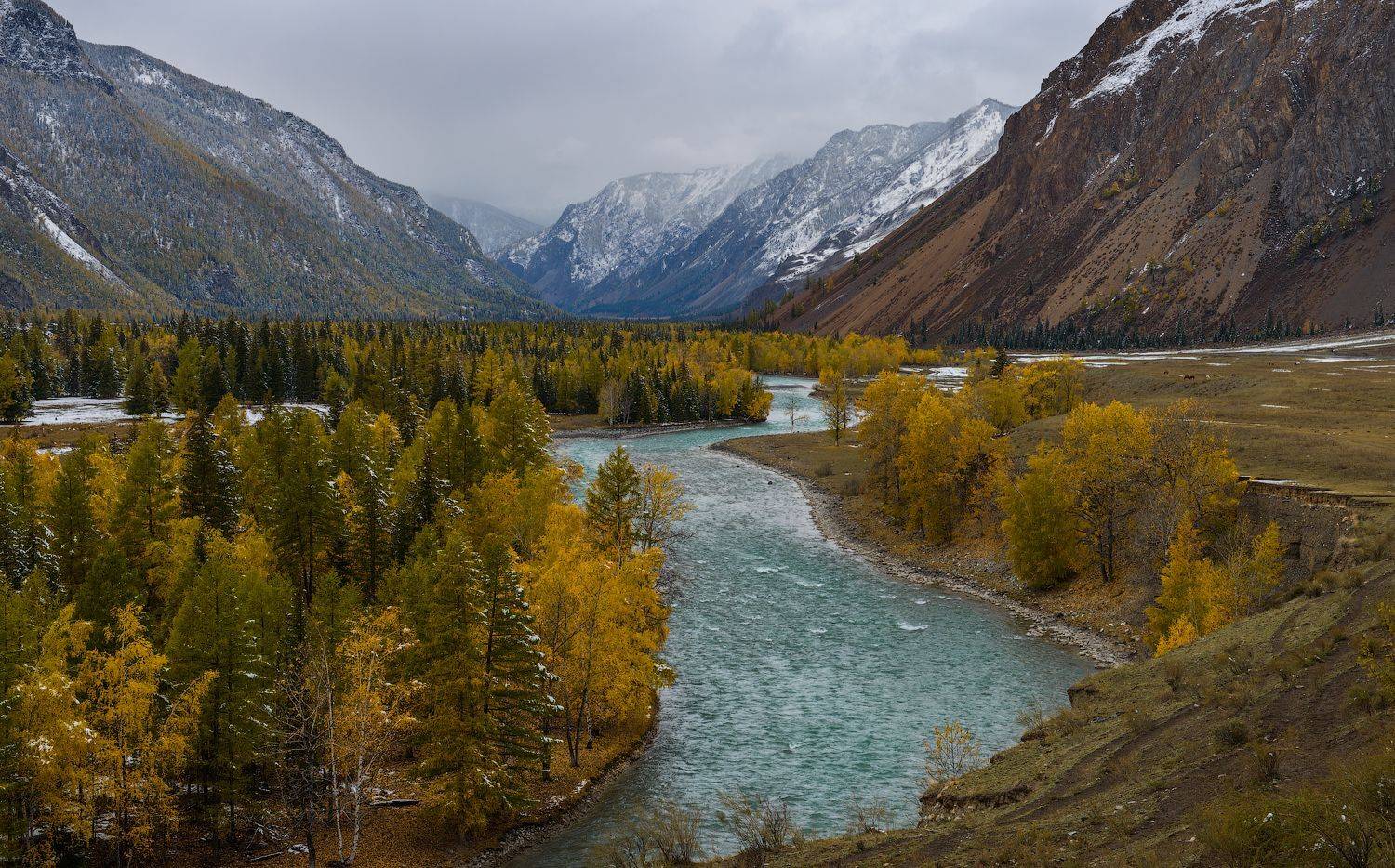 алтай, чуя, Кутыгин Эдуард