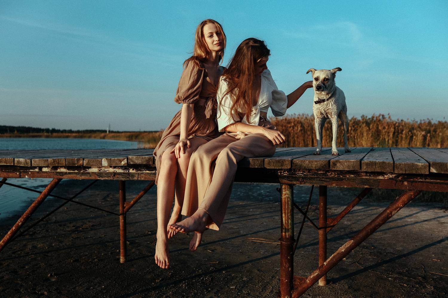 , Илья Душутин