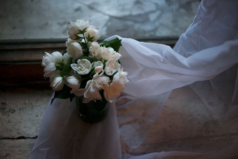 Чубушник по подоконнике фото превью