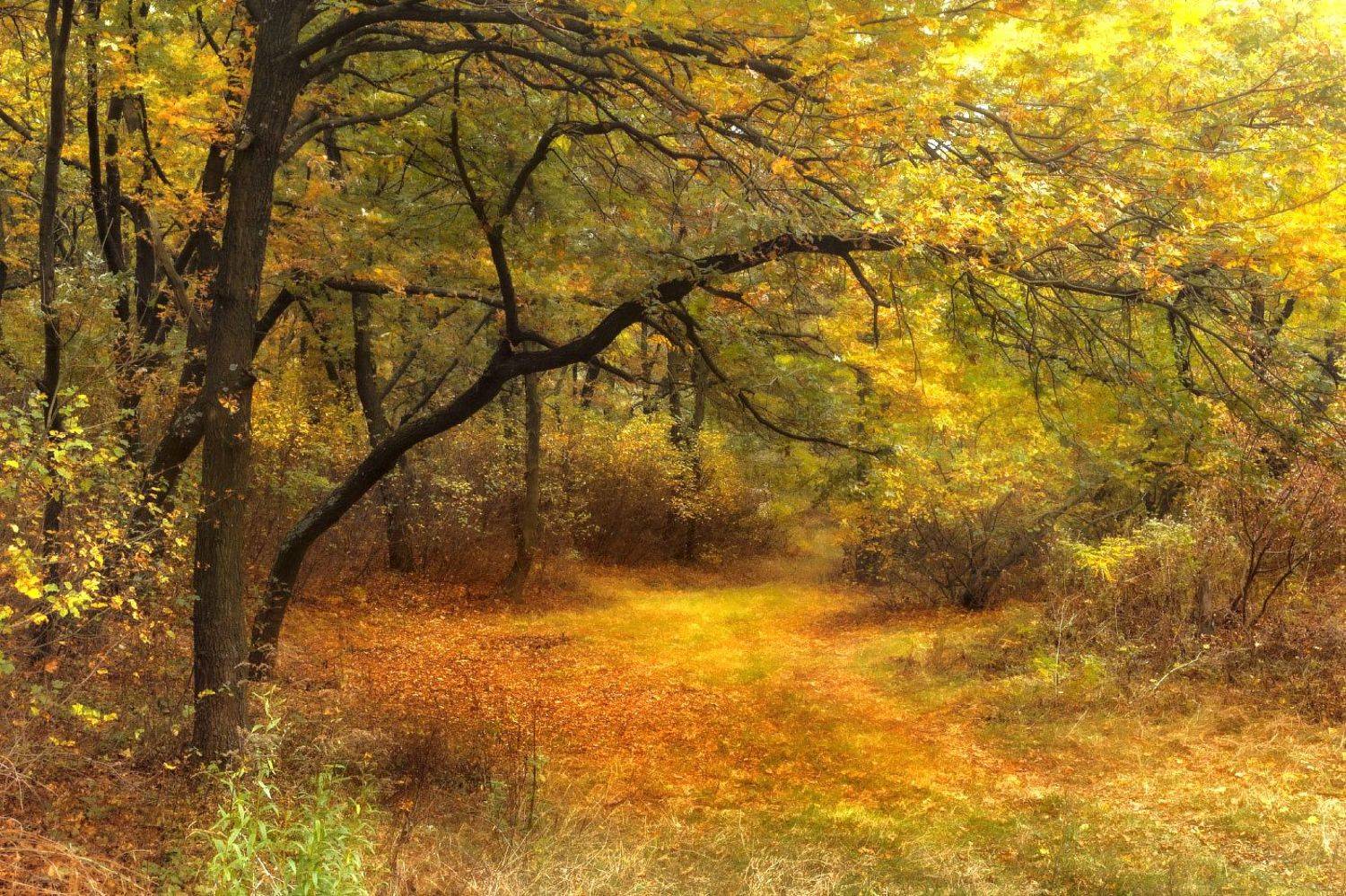 , Лысенко Сергей