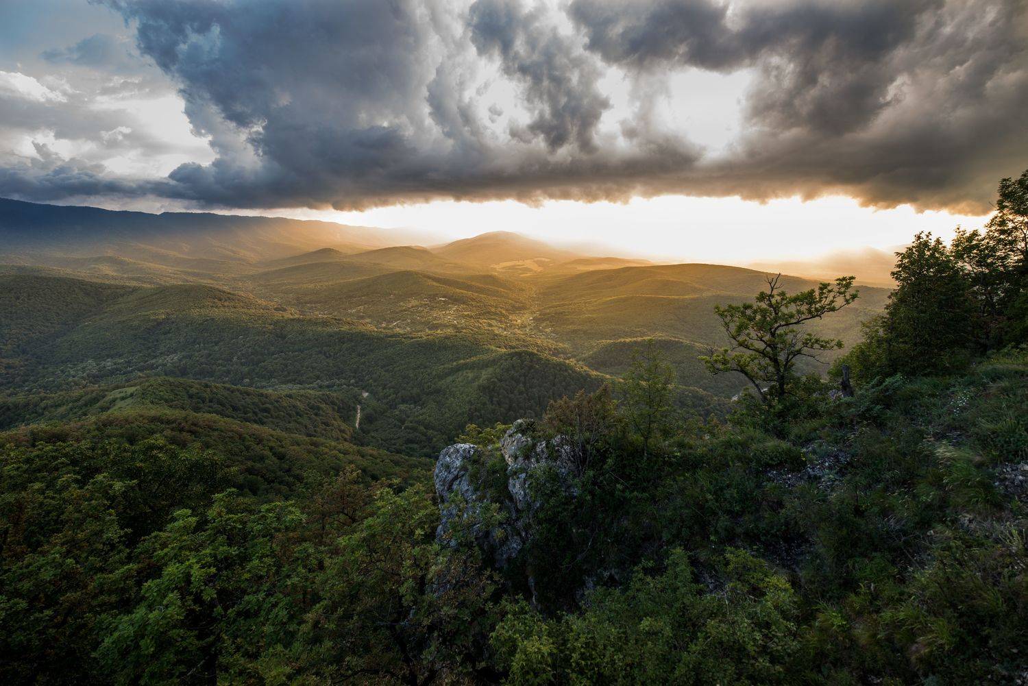 , Дмитрий Величко
