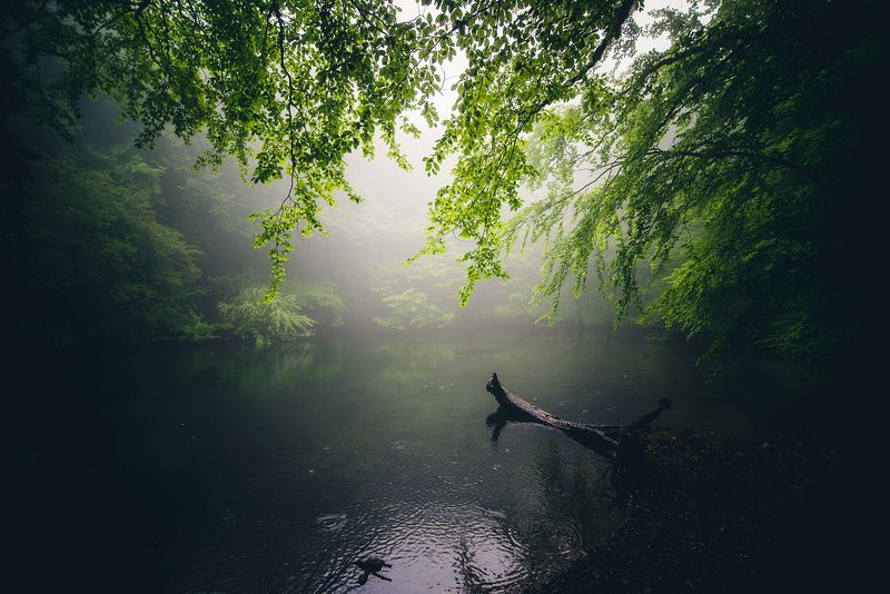 крым *** фото превью